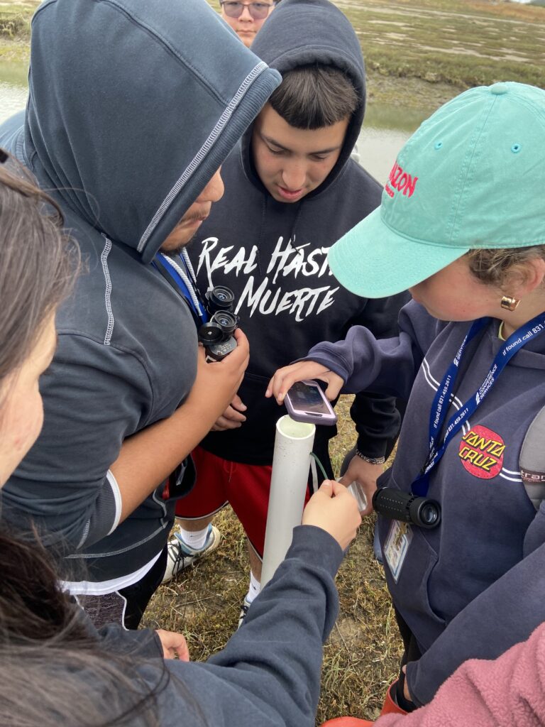 DIG CAMP students make close observations at a field site